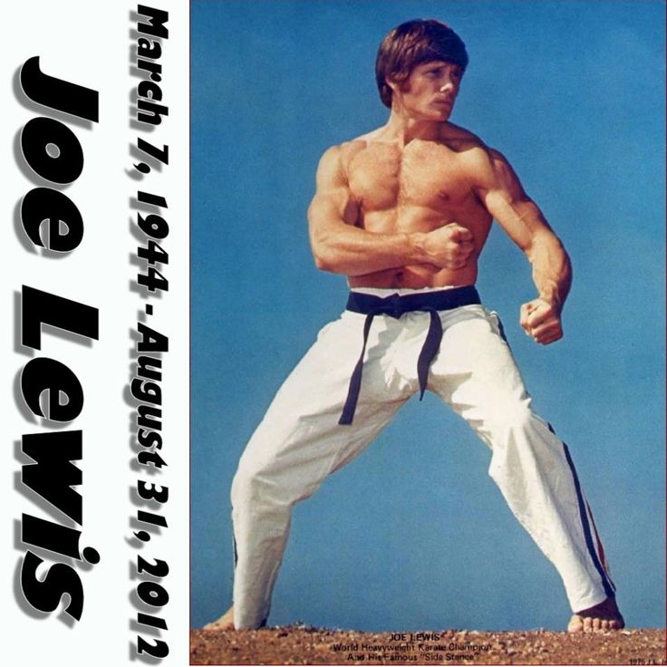 Joe Lewis Fighting Systems