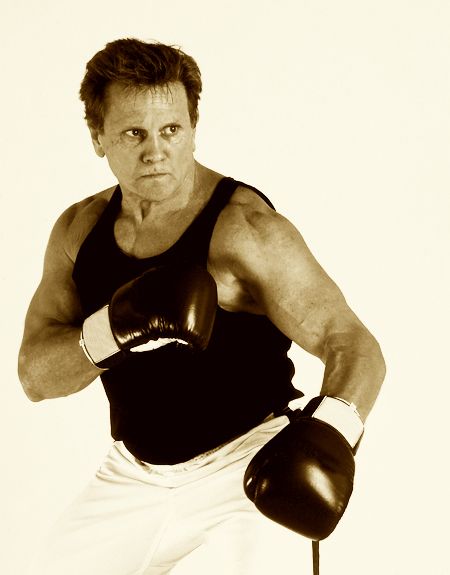 Joe Lewis Fighting Systems